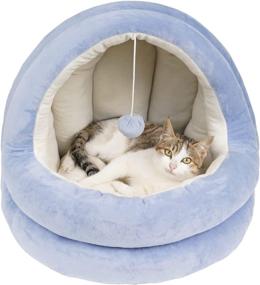 img 4 attached to 🐱 GAPZER Cat Bed Kitty Cave with Interactive Play Ball Machine Washable Cozy Puppy House - Anti-Slip Bottom & Removable Cushion for Indoor Cats or Small Dogs (Small, Blue)