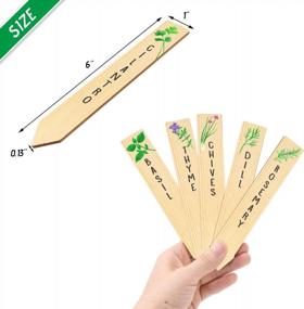 img 3 attached to 12-Pack Re-Usable Wooden Plant Labels - Perfect For Indoor/Outdoor Kitchen Herbs Garden Gifts