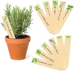 img 4 attached to 12-Pack Re-Usable Wooden Plant Labels - Perfect For Indoor/Outdoor Kitchen Herbs Garden Gifts