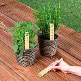 img 1 attached to 12-Pack Re-Usable Wooden Plant Labels - Perfect For Indoor/Outdoor Kitchen Herbs Garden Gifts