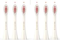 replacement wagner stern switzerland toothbrushes oral care for toothbrushes & accessories logo