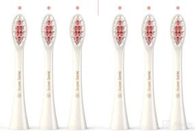 img 4 attached to Replacement Wagner Stern Switzerland Toothbrushes Oral Care for Toothbrushes & Accessories