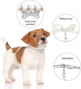 img 1 attached to 🐶 Hicarer 2 Pieces Dog Pearl Collars and Pet Pearl Necklace Set: Stylish Dog Leather Collar with Crystal Rhinestone Cat Neck Strap for Dogs and Cats