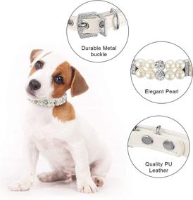 img 2 attached to 🐶 Hicarer 2 Pieces Dog Pearl Collars and Pet Pearl Necklace Set: Stylish Dog Leather Collar with Crystal Rhinestone Cat Neck Strap for Dogs and Cats