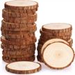 30-piece set of fuyit unfinished wood slices: 2.8-3.1 inches, natural tree circles with bark, undrilled for art projects, painting, christmas ornaments, and diy crafts logo