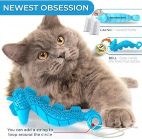 img 2 attached to Keep Your Cat'S Smile Shining With Ronton Cat Toothbrush Catnip Toy - Durable For Lasting Use - Promote Dental Health & Interactive Fun (1 Pack - Seahorse Design)