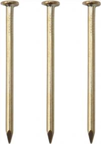 img 4 attached to Brass Plated Gold Hardware Nails - Perfect For Hanging Wall Decor And More!
