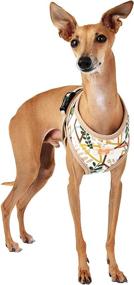 img 1 attached to Puppia Botanical Harness Beige L