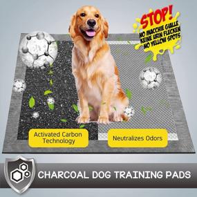 img 2 attached to Ultra Absorbent Charcoal Puppy Pads With Carbon Technology - Large Size And Odor-Control For Easy Dog Training, 15 Count