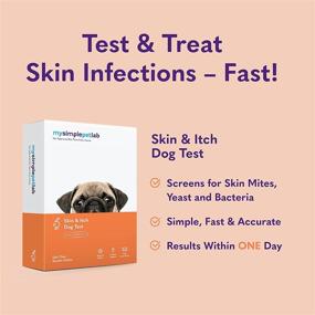 img 3 attached to 🐶 Discover the MySimplePetLab Dog Skin and Itch Test Kit: Detect Skin Mites, Yeast, and Bacteria Accurately and Effortlessly; Ideal for Itchy, Smelly, or Irritated Dog Skin!