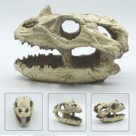 small aquarium decoration: resin dinosaur skull skeleton ornament - fish tank cave landscape pet reptile house logo