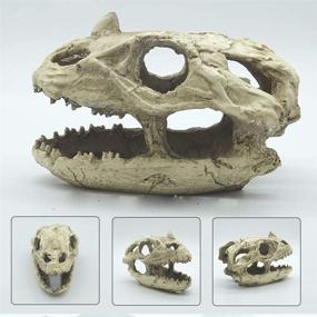 img 4 attached to Небольшое украшение для аквариума: украшение из скелета черепа динозавра из смолы-пещерный аквариум, пейзаж, дом для домашних животных, рептилий
