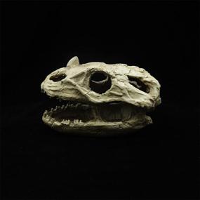 img 2 attached to Небольшое украшение для аквариума: украшение из скелета черепа динозавра из смолы-пещерный аквариум, пейзаж, дом для домашних животных, рептилий