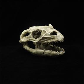 img 1 attached to Небольшое украшение для аквариума: украшение из скелета черепа динозавра из смолы-пещерный аквариум, пейзаж, дом для домашних животных, рептилий