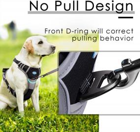 img 4 attached to No Pull Dog Harness With Handle - Reflective Adjustable Breathable Sport Harness For Medium And Large Dogs, Back/Front Clip Control, M Black