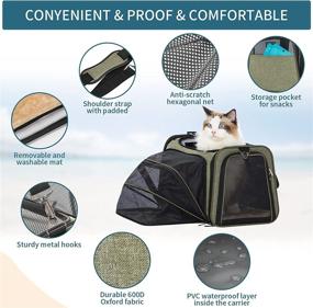img 1 attached to 🐾 Premium Petsfit Expandable Cat and Dog Carrier: Airline Approved Soft-Sided Portable Pet Travel Washable Carrier for Kittens and Puppies