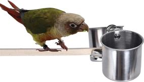 img 4 attached to 🐦 TBWHL Parrot Feeding Cups: Premium Stainless Steel Birdcage Bowls for Small and Medium Birds - Convenient Hanging Design for Parakeets and Bird Cage Accessories