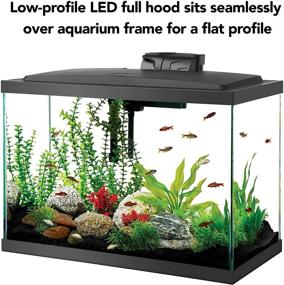 img 2 attached to 🐠 Aqueon 20 Gallon High Fish Tank Starter Kit with LED Lighting for Aquarium