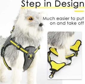 img 3 attached to 🐾 Step-in Vest Dog Harness with ID Pocket and LED Clip – Front Clip No Pull Choke Free Escape Proof Padded Breathable Reflective Halter for Small Breed – Orange Yellow – Ideal for Training, Walking, and Hiking