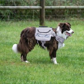 img 1 attached to 🐾 Outward Hound Dog Hiking Backpack: Harness, Side Pockets for Medium & Large Dogs - Perfect for Hunting, Camping, and Travel