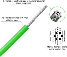 img 3 attached to 🐶 AMOFY 25ft Dog Tie Out Cable: Durable Galvanized Steel Wire Rope with PVC Coating for Medium Dogs up to 396Ibs, in Green Gecko