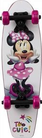 img 1 attached to Frozen 21-Inch Wooden Cruiser Skateboard By PlayWheels - Perfect For Kids And Beginners