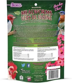 img 2 attached to F M Browns Fixins Mealworms 3 Ounce