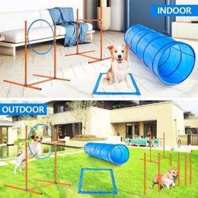 img 3 attached to 🐾 XiaZ Dog Agility Training Equipment Set - Doggie Obstacle Course Starter Kit for Outdoor Pet Games - Includes Dog Tunnels, 8 Weave Poles, Jumping Ring, High Jumps, and Pause Box