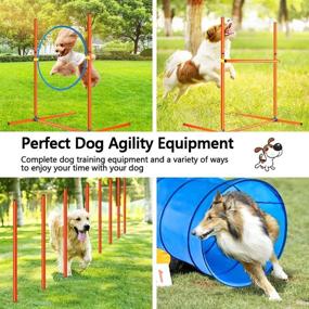 img 2 attached to 🐾 XiaZ Dog Agility Training Equipment Set - Doggie Obstacle Course Starter Kit for Outdoor Pet Games - Includes Dog Tunnels, 8 Weave Poles, Jumping Ring, High Jumps, and Pause Box