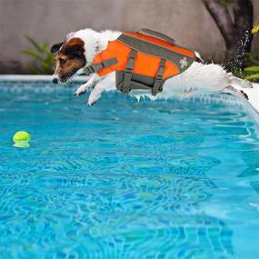 img 3 attached to X-Small Reflective Dog Life Jacket 🐕 by TOP PAW: The Ultimate SEO-Optimized Choice