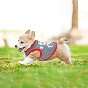 img 3 attached to 👕 Yikeyo Small Dog Shirt for Summer - Stylish Clothes for Boy Dogs - Puppy Tshirts for Yorkies, Chihuahuas & More! (4PC, Small)