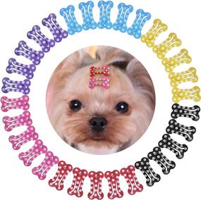 img 4 attached to Pawsclaws Bone Shaped Barrettes Товары для ухода за волосами