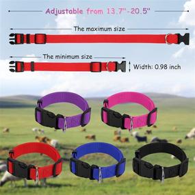 img 3 attached to 5-Pack GINDOOR Goat Collars with Bells - Adjustable Nylon Collar Set for Small Farm Animals (Goats, Sheep, Cows), Anti-Lost Bronze Bell, Ideal Grazing Copper Bell Accessory