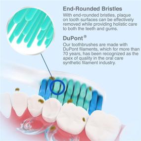 img 2 attached to 🪥 Enhance Oral Care with Brushmo: Phillips-Compatible Replacement Toothbrush