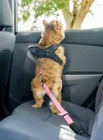 img 3 attached to 2PET Dog Seatbelt Strap - Adjustable and Universal Seat Belt for All Dog Breeds and Sizes - 2 Pack, Various Colors