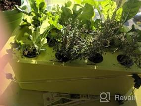 img 5 attached to Grow Fresh Herbs At Lightning Speed: Complete DWC Hydroponic System Kit With Large Airstone, 6-Site Bucket, And Air Pump For Indoor Kitchen Garden