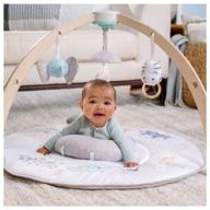 👶 aden + anais play and discover baby activity gym: enhance development with 30+ benefits, including 3 toys and plush tummy time pillow - 100% cotton muslin - machine washable логотип