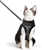 🐾 catromance kitten harness and leash: escape proof, adjustable for extra small cats, breathable and reflective - black, large logo