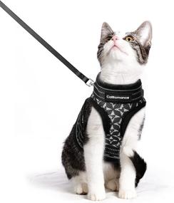 img 4 attached to 🐾 CatRomance Kitten Harness and Leash: Escape Proof, Adjustable for Extra Small Cats, Breathable and Reflective - Black, Large