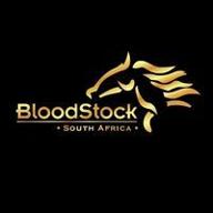 bsa south africa logo