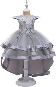 img 3 attached to HIHCBF Princess Wedding Pageant Birthday Girls' Clothing via Dresses