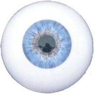 g schoepfer inc glass eyes logo