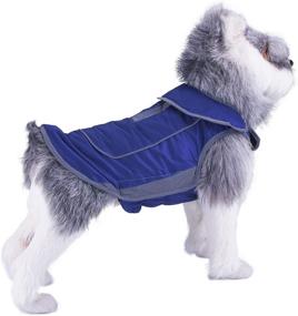 img 4 attached to ThinkPet Outdoor Adventure Waterproof Reflective Dogs ~ Apparel & Accessories