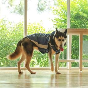 img 2 attached to ThinkPet Outdoor Adventure Waterproof Reflective Dogs ~ Apparel & Accessories