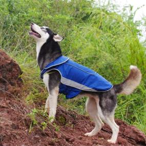 img 3 attached to ThinkPet Outdoor Adventure Waterproof Reflective Dogs ~ Apparel & Accessories