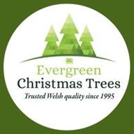 evergreen christmas trees logo