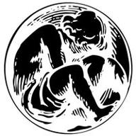 laser mark-it logo