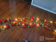 img 1 attached to HOHOTIME Christmas Poinsettia Flowers Artificial Red Poinsettia Garland With 10 LED Lights And Green Leaves Poinsettia Vines 8.33 FT For Christmas Party Holiday Front Door Wreath Decor review by Melissa Dudley
