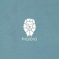 piqidig logo