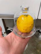 img 1 attached to 🍋 Pasabahce Glass Lemon Keeper: Enhancing Storage for Lemons review by Czesawa Padiasek ᠌